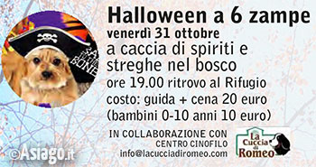 Halloween a 6 zampe 2014 - Rifugio Bar Alpino