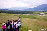 Rogazione Altopiano Asiago Rogazione Altopiano Asiago