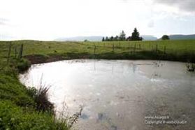 Pond Asiago Stagno ad Asiago
