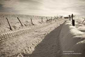 Sentiero Innevato nell'Altopiano di Asiago