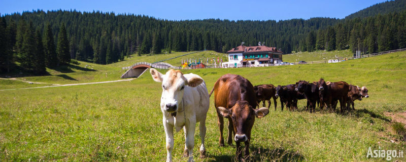 Rückzugsort in den Bergen