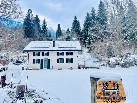 Urlaub auf dem Bauernhof im Winter im Wald