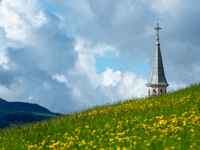 Der Glockenturm von Camporovere