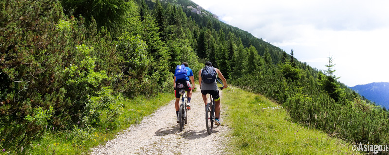 Das Plateau mit dem E-Bike