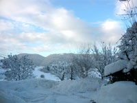 Paesaggio innevato