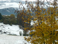 Paesaggio invernale