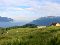 Malga Dosso di Sotto in den bezaubernden Landschaften der Cima Larici