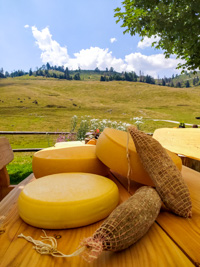 Die Käsesorten und Soppresse, die von der Malga produziert werden