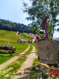 Eimer mit Blumen in Malga III Lotto Valmaron