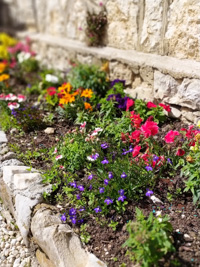 Die bunten Blumen von Malga Larici