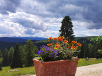 Die schöne Aussicht von Malga Larici