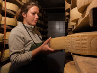 Würze von Asiago Dop in Malga Larici di Sotto