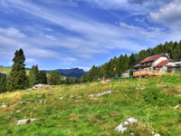 Blick von den Wiesen auf Malga Larici di Sotto