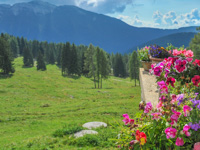 Panoramablick von Malga Larici di Sotto