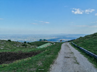 Abstieg in Richtung Malga Mazze Inferiori