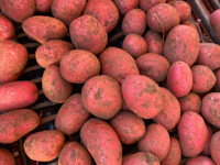 Rote Kartoffeln von BioFattoria Bisele