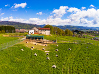 Blick auf den Landwirtschaftsverein Bisele 