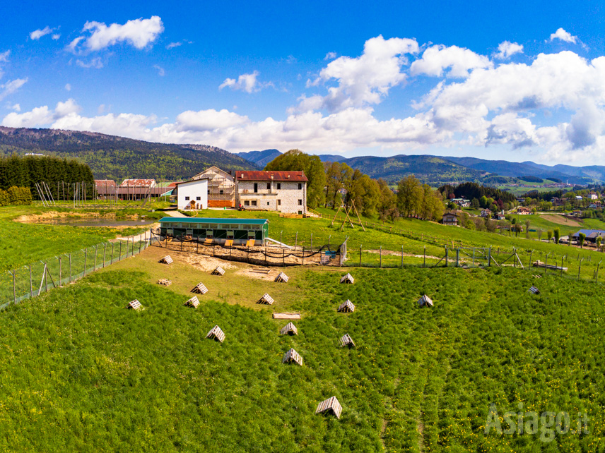 Società Agricola Bisele