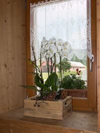 Spitzenvorhang und Blumenschmuck am Fenster