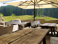 Holztische auf der Außenterrasse mit Blick auf den Wald