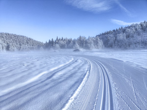 Langlaufloipe im Centro Fondo Monte Corno