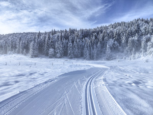 Präparierte Loipe im Centro Fondo Monte Corno