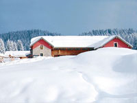 Il Rifugio Campolongo