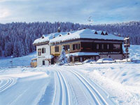 Berghütte Base Malga Campomulo mt. 1530