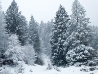 Die ersten Schneefälle im Centro Fondo Monte Corno