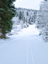 Skipisten im Langlaufzentrum Monte Corno