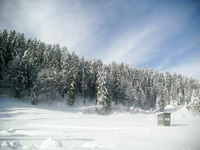 Skifahren auf dem Plateau im Centro Fondo Monte Corno