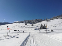 Le piste del centro fondo enego