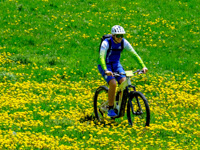 Mit dem E-Bike auf den blühenden Wiesen des Plateaus