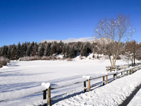 Winter panorama