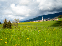 View of Camporovere surrounded by greenery