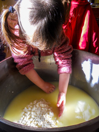 We learn how to make cheese