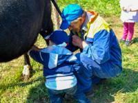 We learn hand milking