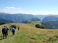 Guide Altopiano Association