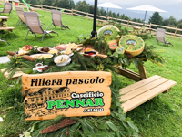 The cheeses of the Pennar Dairy of Asiago