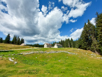 The alpine pasture between woods and pastures