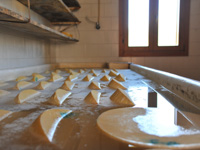 Malga Dosso of Under production cheese Asiago DOP