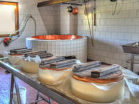 Production of Asiago Dop at the Malga Dosso below