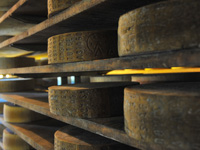 Asiago Season Dop Malga Dosso Di Sotto