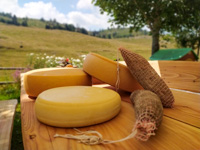 Cheeses and cured meats of malga