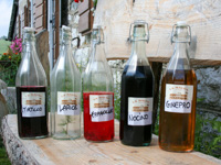 The grappas and liqueurs of the malga