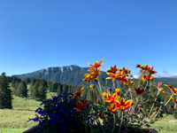 The view from Malga Larici di Sotto