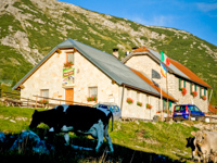 Malga Larici Di Sotto in Asiago