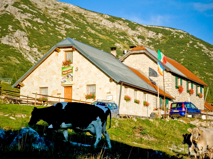 Malga Larici di Sotto