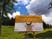 Malga Larici di Sotto, lunches in malga, snacks, cheese sales, butter and sopresse