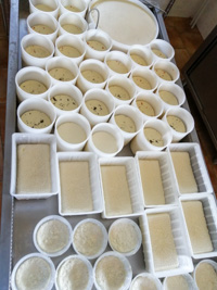 Fresh cheeses from Malga Mazze Inferiori